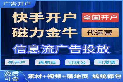 案例研究：SEM开户助力电商快速崛起